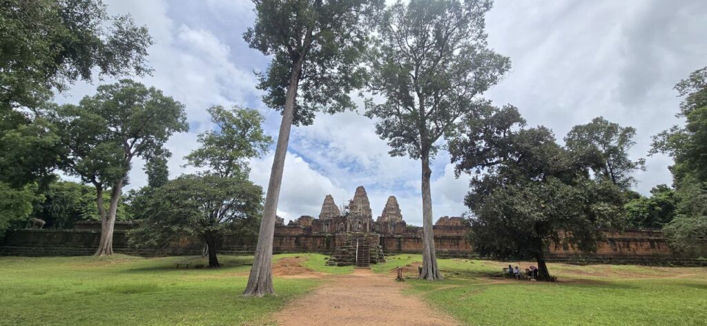 Blossoming Romduol EXplore