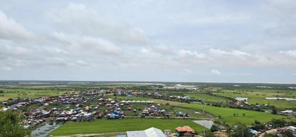 Blossoming Romduol EXplore