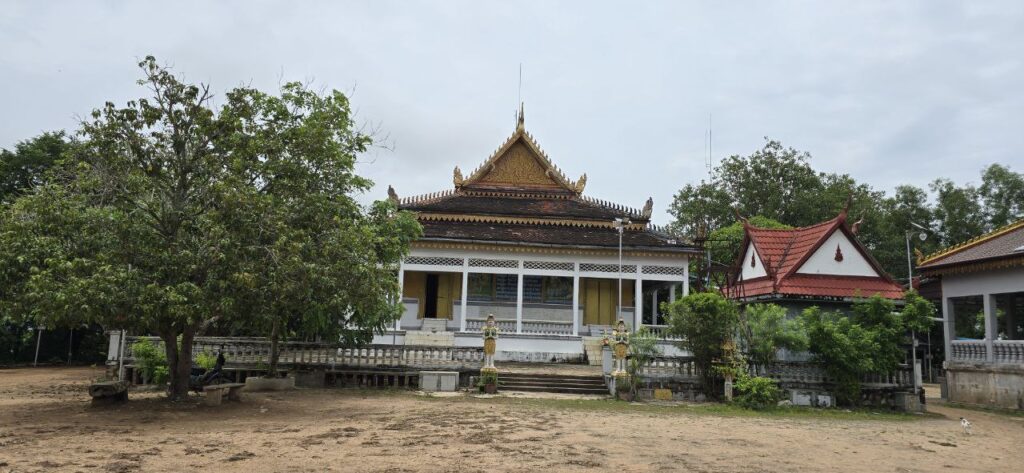 Blossoming Romduol EXplore