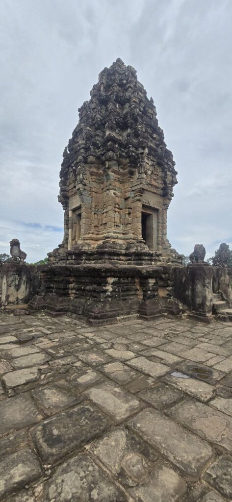 Blossoming Romduol EXplore