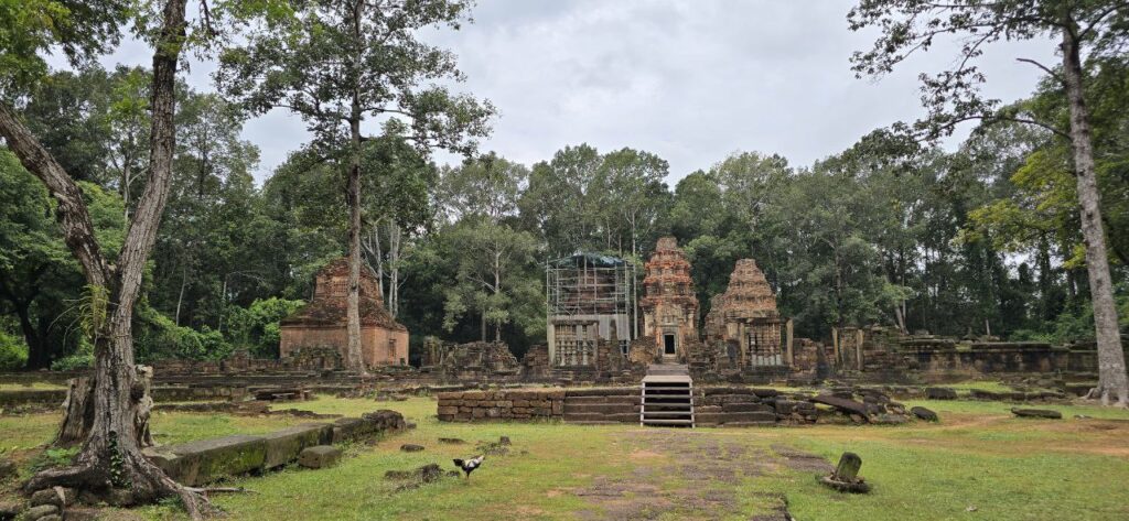 Blossoming Romduol EXplore