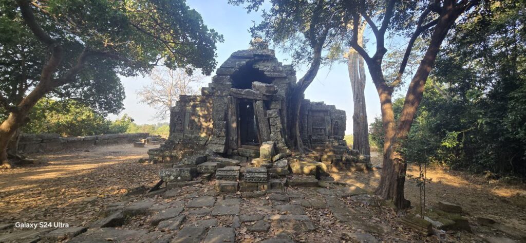 Blossoming Romduol EXplore